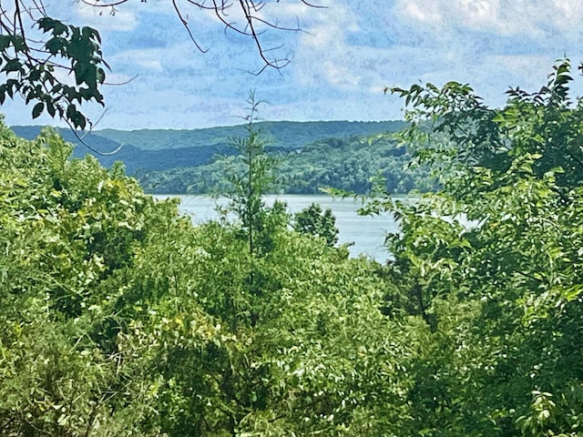 644 Indian Valley Rd, Branson West, MO 65737 - photo 1