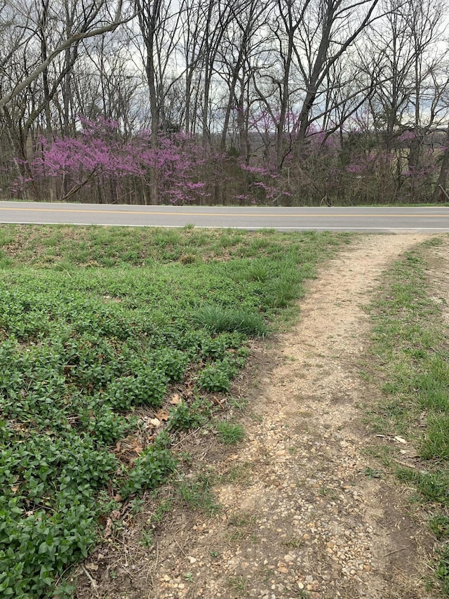 59 Landrace Loop, Tecumseh, MO 65760 - photo 17