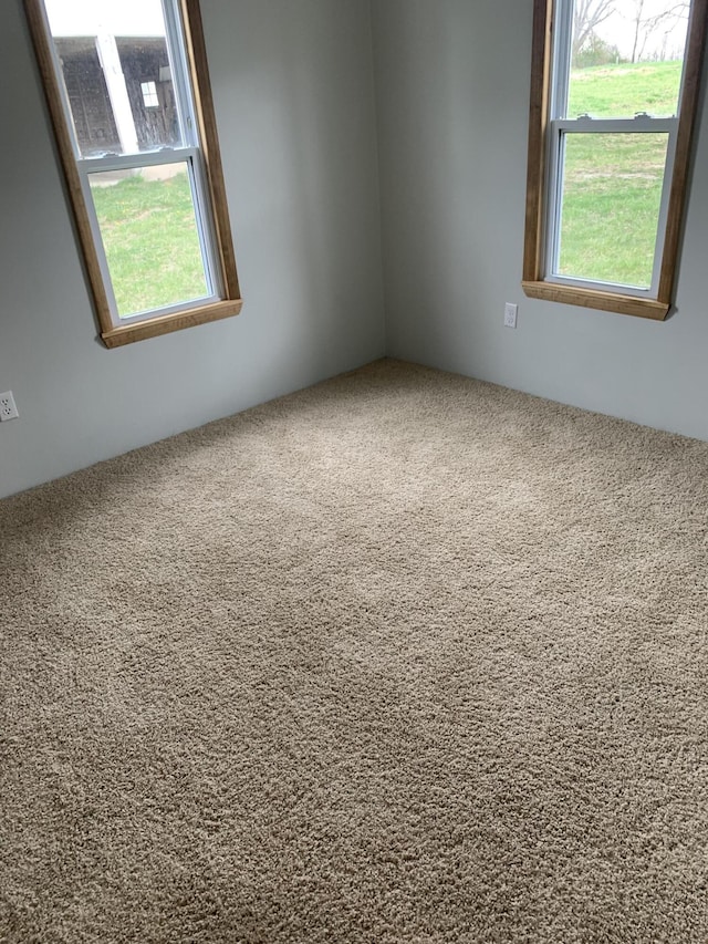 59 Landrace Loop, Tecumseh, MO 65760 - photo 31