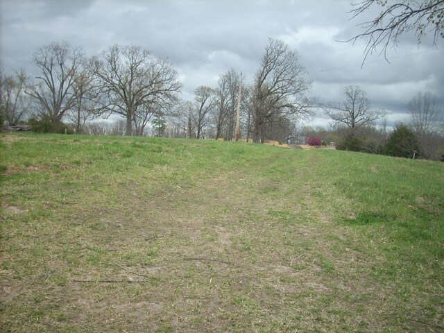 59 Landrace Loop, Tecumseh, MO 65760 - photo 15