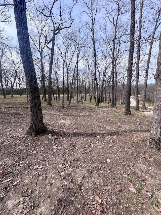 24480 County Road 255, Pittsburg, MO 65724 - photo 51