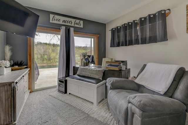 1428 Acacia Club Rd, Hollister, MO 65672 - sitting room with light colored carpet