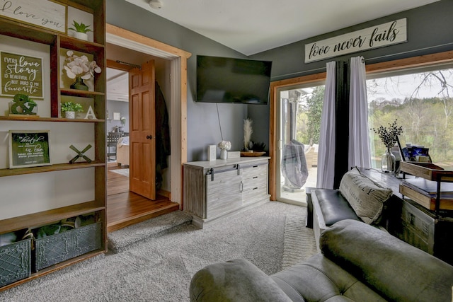 1428 Acacia Club Rd, Hollister, MO 65672 - living area featuring carpet flooring