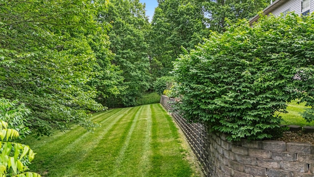 3607 Quail Run Rd, West Plains, MO 65775 - view of grassy yard