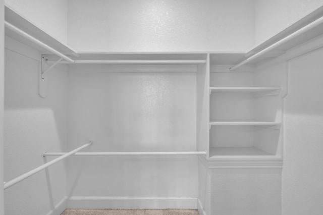 3607 Quail Run Rd, West Plains, MO 65775 - view of walk in closet