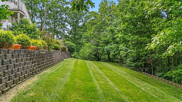 3607 Quail Run Rd, West Plains, MO 65775 - view of yard