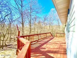 4815 Kingswood Ln, Diamond, MO 64840 - photo 46