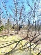 4815 Kingswood Ln, Diamond, MO 64840 - photo 61