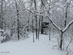 4815 Kingswood Ln, Diamond, MO 64840 - photo 67