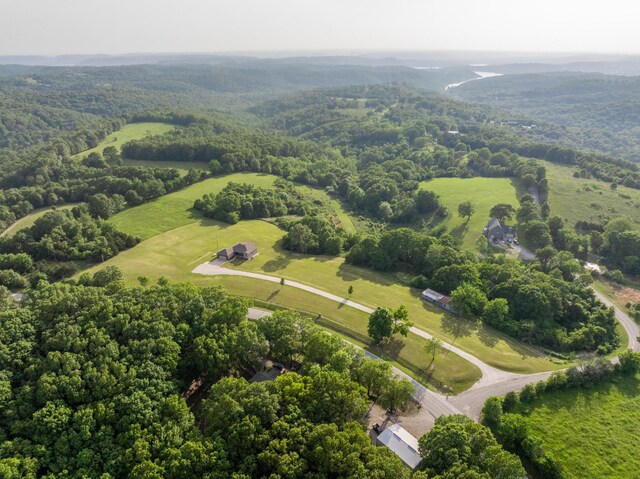 20 Hardin Hills Dr, Galena, MO 65656 - photo 55