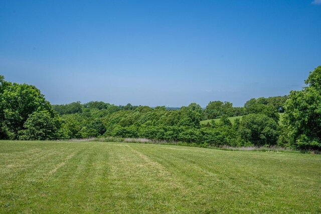 20 Hardin Hills Dr, Galena, MO 65656 - photo 5