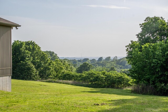 20 Hardin Hills Dr, Galena, MO 65656 - photo 6