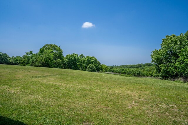 20 Hardin Hills Dr, Galena, MO 65656 - photo 50