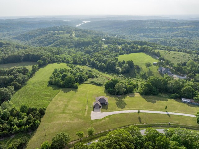 20 Hardin Hills Dr, Galena, MO 65656 - photo 54