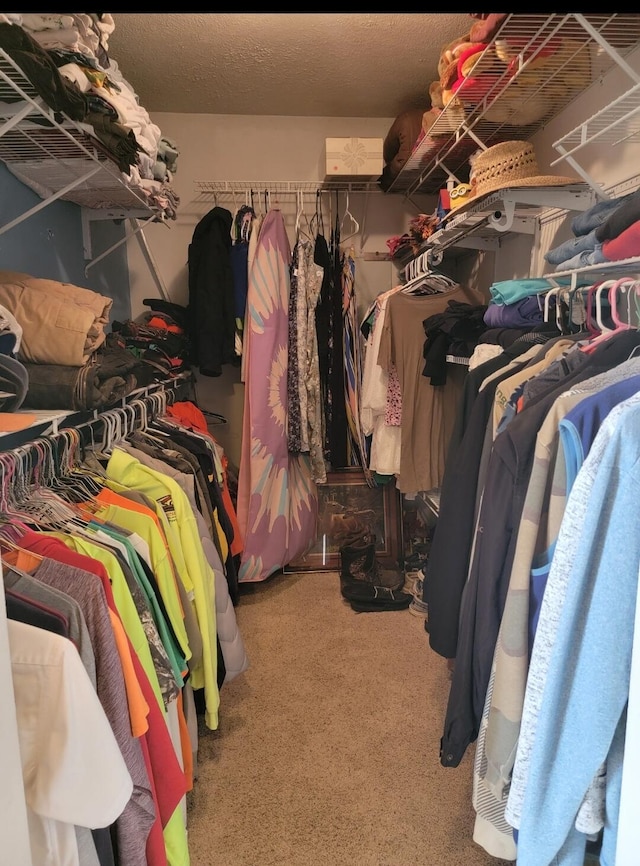 7 Lawrence Unit 2200, Wentworth, MO 64873 - walk in closet featuring carpet floors
