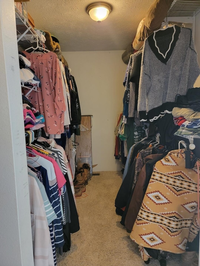 7 Lawrence Unit 2200, Wentworth, MO 64873 - spacious closet with carpet