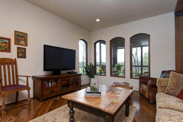 living area featuring recessed lighting and wood finished floors
