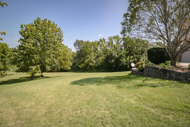 1321 E River Oak Dr, Springfield, MO 65803 - view of yard