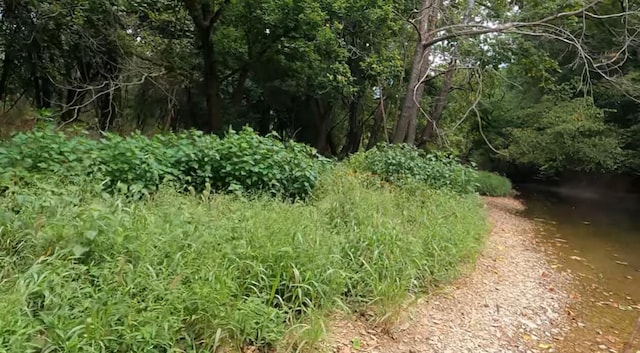 1321 E River Oak Dr, Springfield, MO 65803 - view of local wilderness with a wooded view