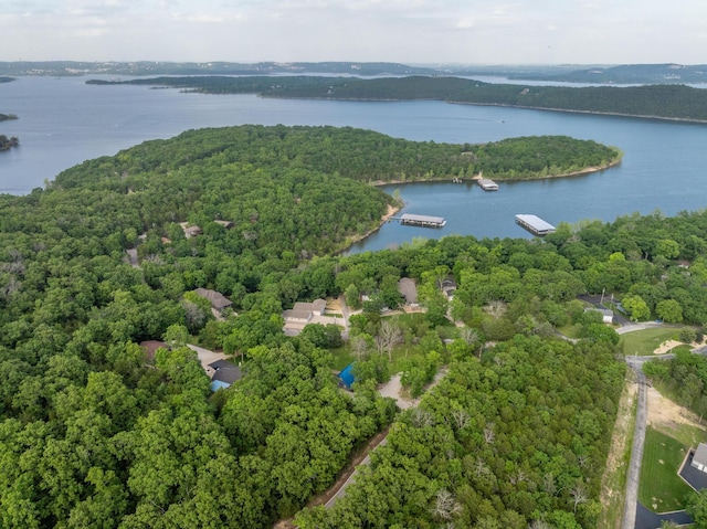645 Buck Run Dr, Branson West, MO 65737 - view of property location with a nearby body of water and a forest