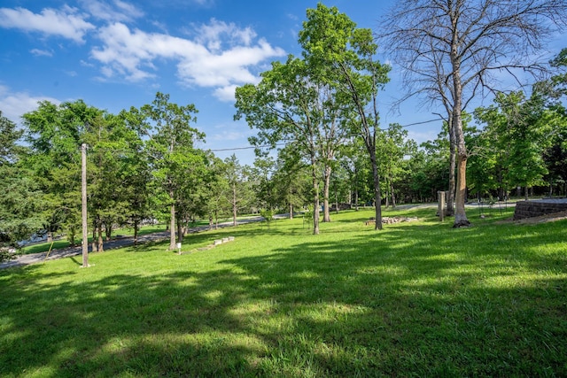 645 Buck Run Dr, Branson West, MO 65737 - view of grassy yard