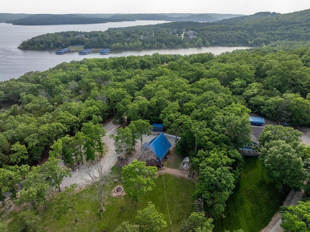 645 Buck Run Dr, Branson West, MO 65737 - bird's eye view of a heavily wooded area and a nearby body of water