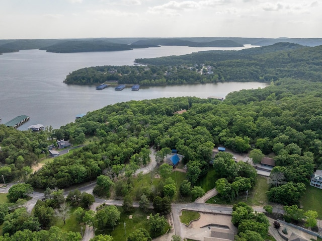 645 Buck Run Dr, Branson West, MO 65737 - drone / aerial view of a large body of water and a forest