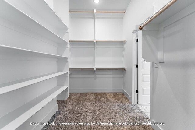 1208 W Pebblebrooke Dr, Ozark, MO 65721 - spacious closet with carpet