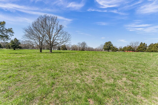 view of yard featuring a rural view