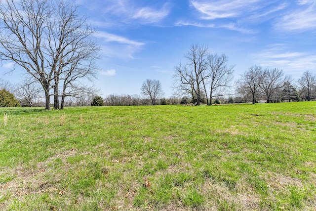 view of yard featuring a rural view