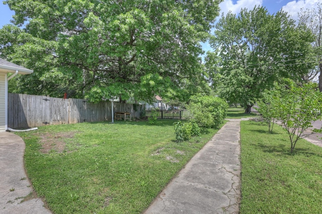 310 W Wishart Dr, Monett, MO 65708 - view of yard
