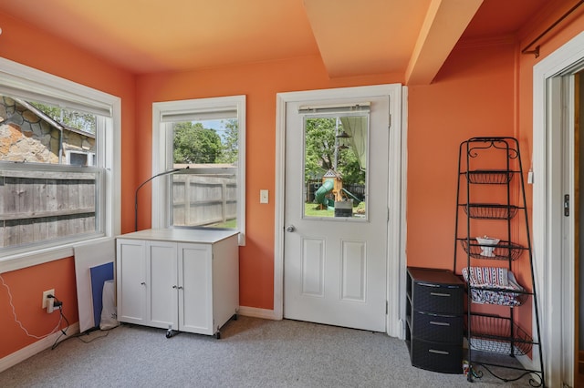 310 W Wishart Dr, Monett, MO 65708 - entryway with light carpet, plenty of natural light, and baseboards