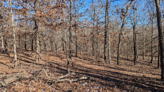 000 County Road 9160, Koshkonong, MO 65692