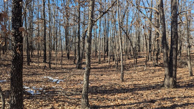 000 County Road 9160, Koshkonong, MO 65692