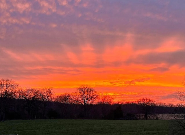 3826 S 77th Rd, Dunnegan, MO 65640 - view of nature at dusk