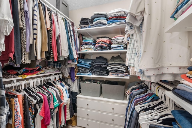 view of spacious closet