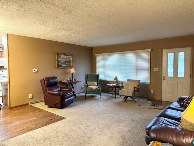 carpeted living room with plenty of natural light, a textured ceiling, and baseboards