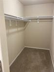 817 NW Evans Cir, Bentonville, AR 72712 - view of walk in closet