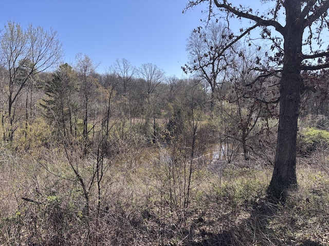 1879 Sawmill Rd, Elkland, MO 65644 - photo 21
