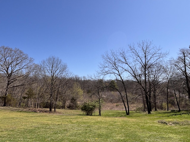 1879 Sawmill Rd, Elkland, MO 65644 - photo 19