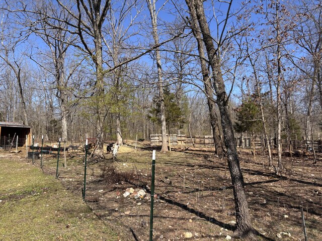 1879 Sawmill Rd, Elkland, MO 65644 - photo 29