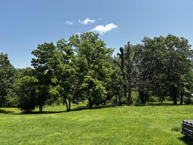 1879 Sawmill Rd, Elkland, MO 65644 - photo 35