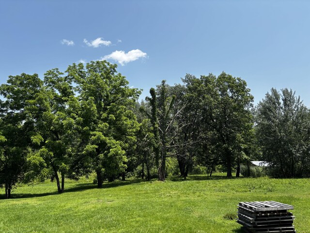 1879 Sawmill Rd, Elkland, MO 65644 - photo 6