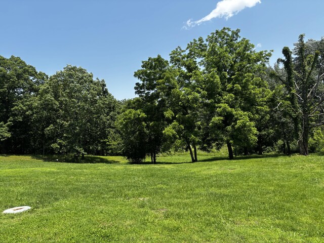 1879 Sawmill Rd, Elkland, MO 65644 - photo 3