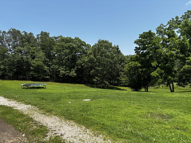 1879 Sawmill Rd, Elkland, MO 65644 - photo 4