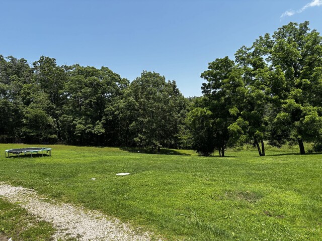 1879 Sawmill Rd, Elkland, MO 65644 - photo 36
