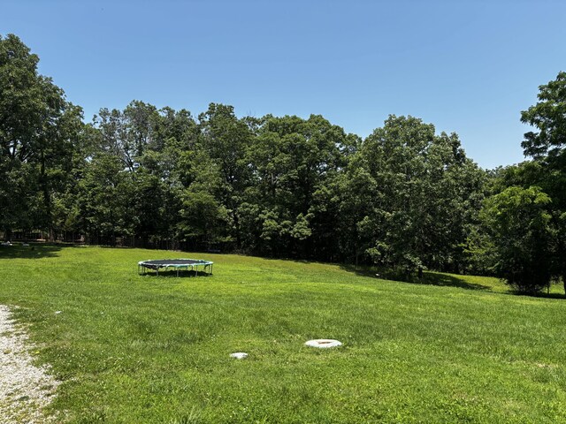 1879 Sawmill Rd, Elkland, MO 65644 - photo 5