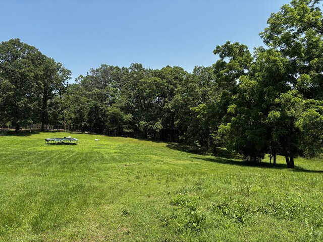 1879 Sawmill Rd, Elkland, MO 65644 - photo 37