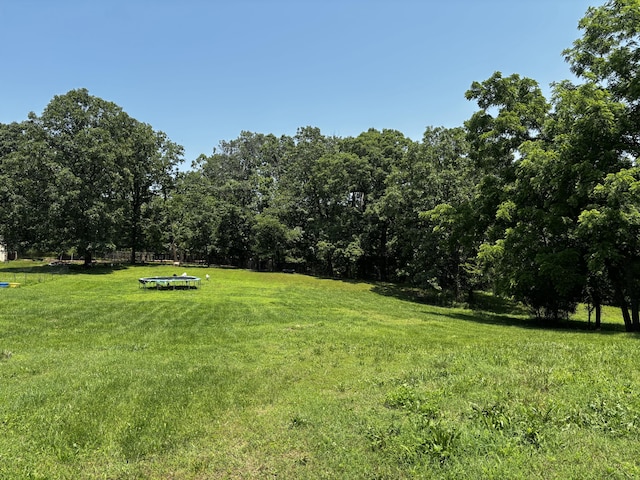 1879 Sawmill Rd, Elkland, MO 65644 - photo 1