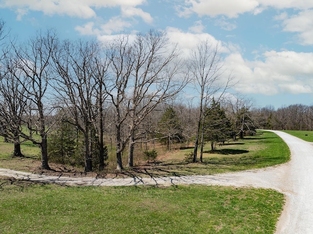 view of home's community featuring a view of trees and a lawn